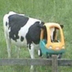 Meet your Posher, Jayde